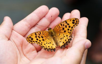 La humildad como forma de ver la realidad